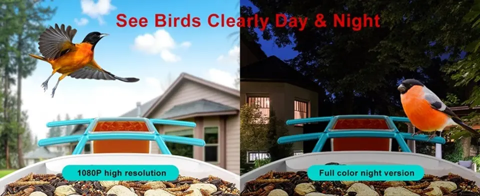 WiFi Bird Feeder Camera 2K Solar Powered with AI Identify 5 1080p wifi bird feeder camera day night vision
