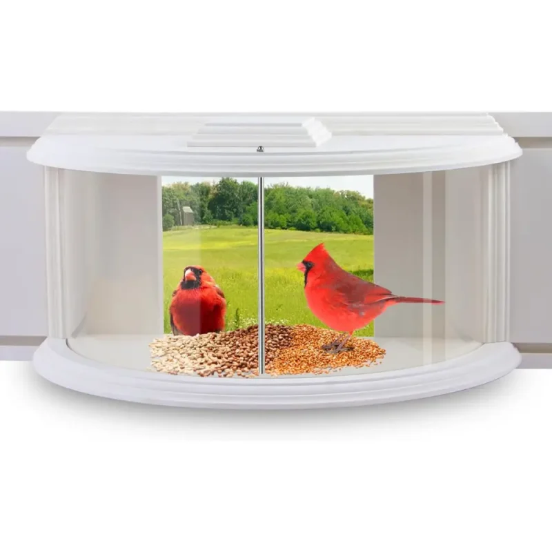 180-degree clear view windowsill bird feeder with two cardinals. Enjoy bird watching from indoors
