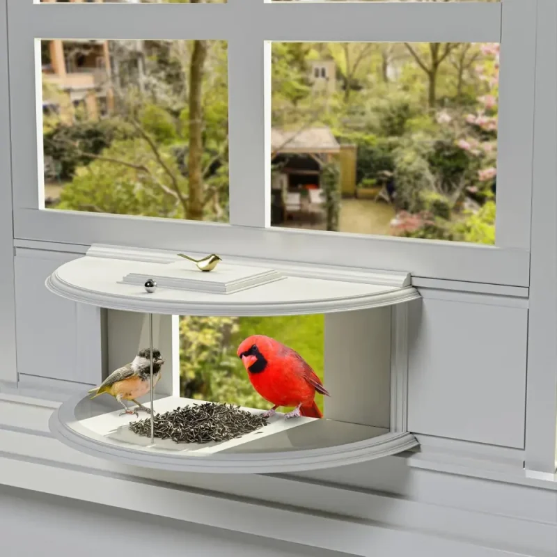 180° indoor window bird feeder offers a clear view for wild bird watching from inside your home