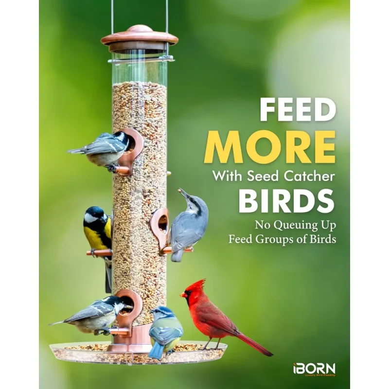 A multi-port tube bird feeder with a seed tray, attracting various wild birds in a garden setting