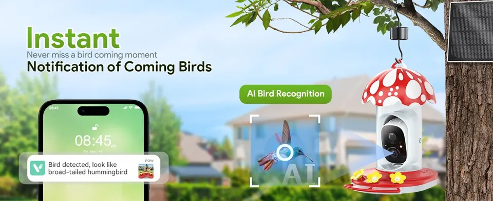 2K Hanging Bird Feeder with Camera - AI, Solar, Ant/Bee Proof 2 Hanging bird feeder camera with AI identifies a broad-tailed hummingbird and sends real-time notifications