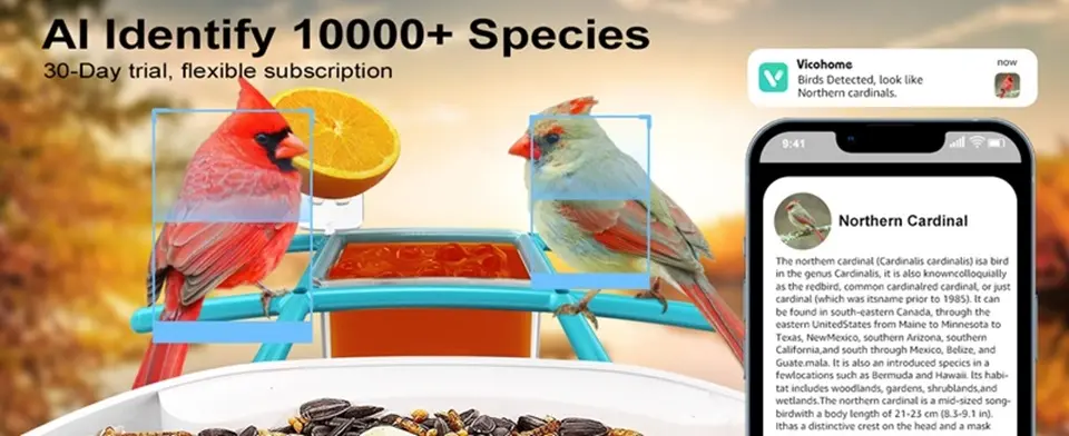 WiFi Bird Feeder Camera 2K Solar Powered with AI Identify 9 A bird feeder featuring a phone and a bird, showcasing a Wi-Fi camera that identifies over 10,000 species