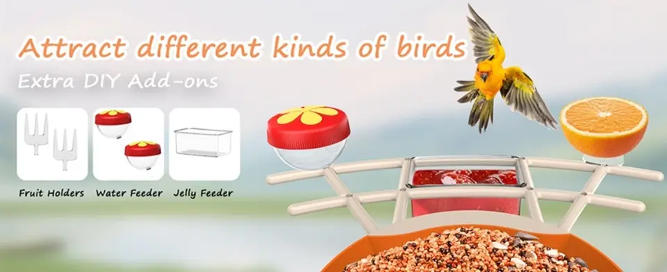 Auxco Bird Feeder with Camera - 4K, AI Bird ID, Auto Video 1 AUXCO bird feeder camera attracts various birds with DIY fruit, water, and jelly feeders for enhanced bird watching