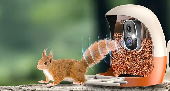 Auxco Bird Feeder with Camera - 4K, AI Bird ID, Auto Video 7 The AUXCO bird feeder camera features a squirrel-proof design with alarms and flashing lights to deter squirrels