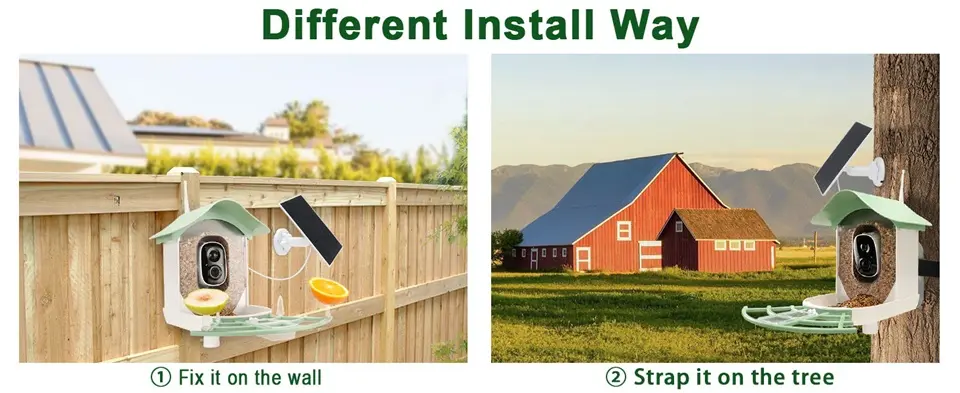 Backyard Bird Feeder Camera - AI Bird ID, 2K Video, Solar Powered 2 Backyard bird feeder camera with two mounting options: wall mount and tree strap