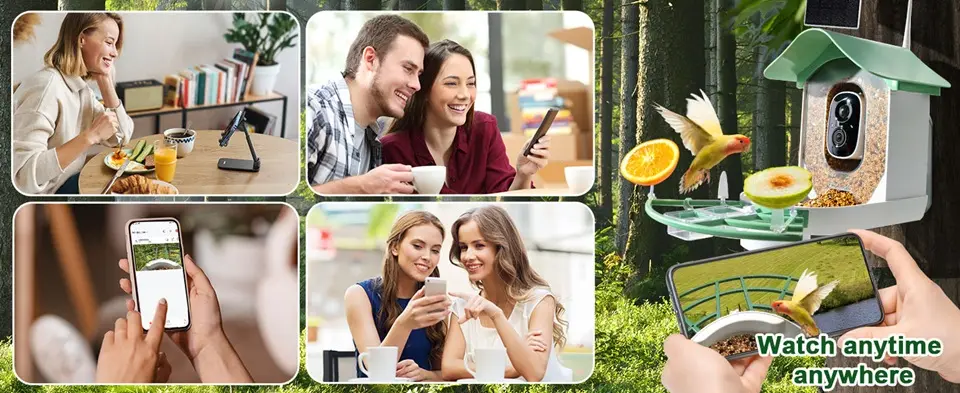 Backyard Bird Feeder Camera - AI Bird ID, 2K Video, Solar Powered 3 Backyard bird feeder camera lets you watch birds anytime, anywhere on your phone.