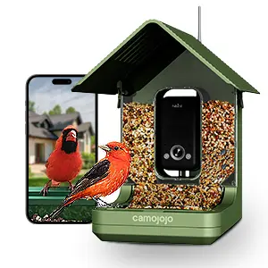 4K Smart Bird Feeder Camera AI Identify | 5G Live Watching 2 Smart bird feeder with integrated camera, designed for observing and attracting various bird species in your backyard