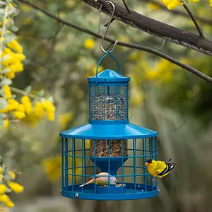 Caged Squirrel Proof Bird Feeder - Metal 2.8lb Capacity 3 caged squirrel proof bird feeder designed for small birds. 1.27*1.73in openings prevent squirrels and larger birds