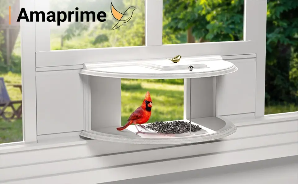 Indoor Bird Feeder - 180° Clear View Window Feeder 1 indoor window bird feeder attracting a beautiful cardinal for close-up bird watching