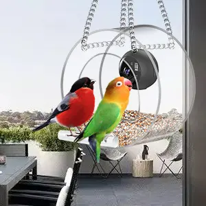 Smart Window Bird Feeder with Camera - 1080p HD | Night Vision 3 Window bird feeder with camera attracting two birds. Perfect for bird watching