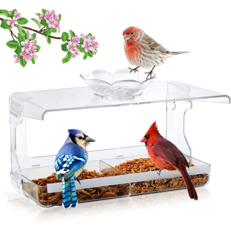 Clear bird feeder outside window with non-marking adhesive hooks. Enjoy wild bird watching and decorate your garden