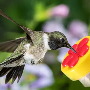 Ring Bird Feeder - 2 Pack Handheld Hummingbird Feeders 5 A hummingbird drinking nectar from a ring bird feeder, close-up view