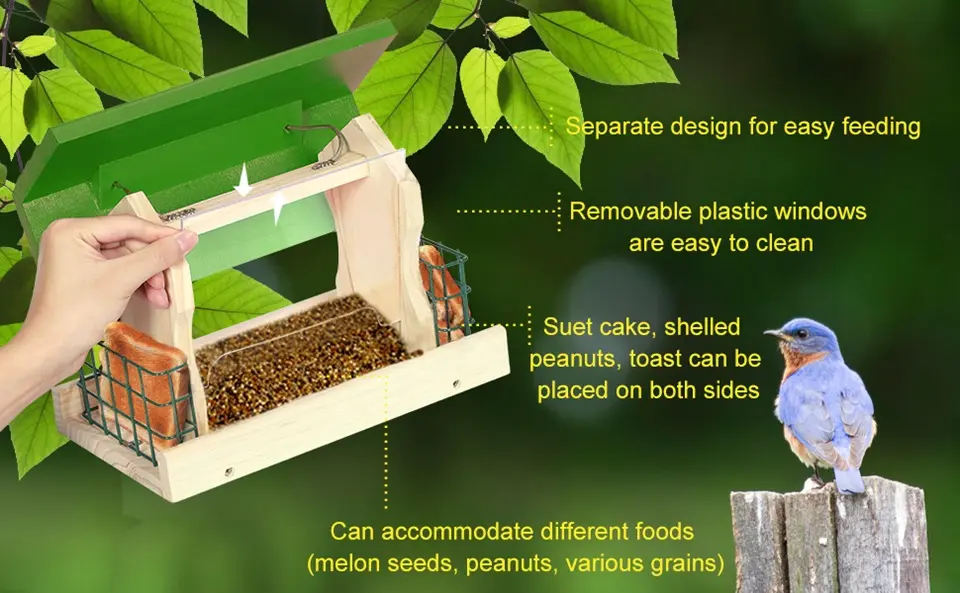 Hopper Bird Feeder - Cedar with 2 Suet Cages | 2 Windows 1 an easy-clean hopper bird feeder designed for multiple seed types, attracting birds like the bluebird shown