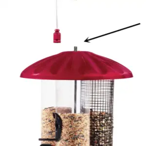 3 Tube Bird Feeder with Squirrel Proof | 6lb Seed Capacity 3 Easy refill 3 tube bird feeder with top filling design for convenient bird feeding