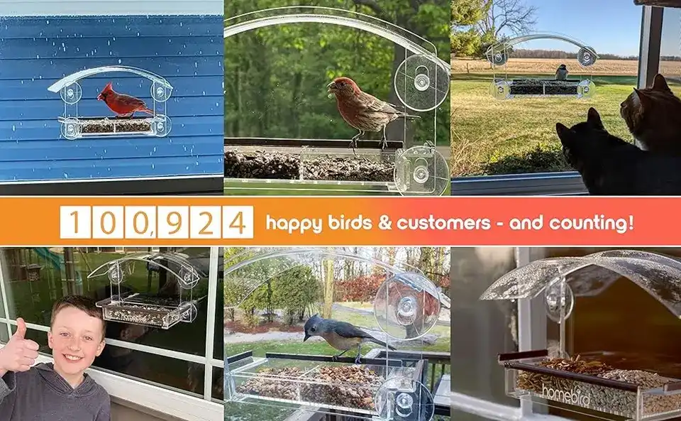 Window Bird Feeder for Cats - Clear Acrylic | Strong Suction 4 BIrdpact popular window bird feeder. Happy birds and happy customers! Perfect for indoor bird watching, even with cats