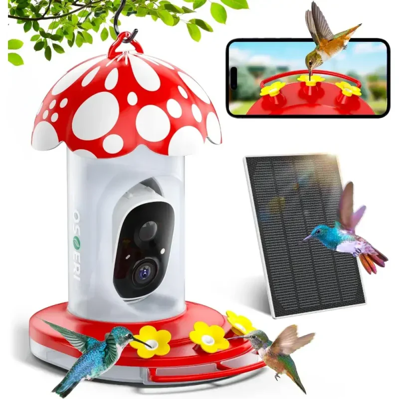 2K HD hummingbird feeder camera: solar powered, AI bird ID, hangs outdoors, ant & bee proof