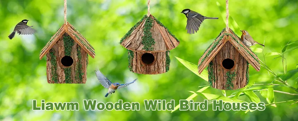 Decorative Wooden Bird House - Hanging Cedar for Outdoors 1 Multiple decorative wooden bird houses hanging outdoors, attracting various wild birds in a natural setting