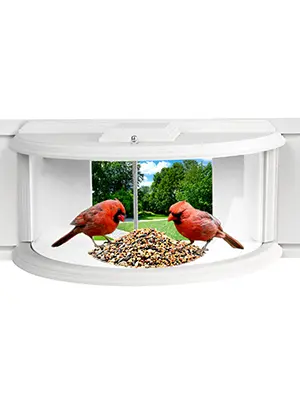Inside Window Bird Feeder 180° Clear View Fits 27-35" Window 3 A pair of cardinals feeding at an inside window bird feeder. Enjoy bird watching from home