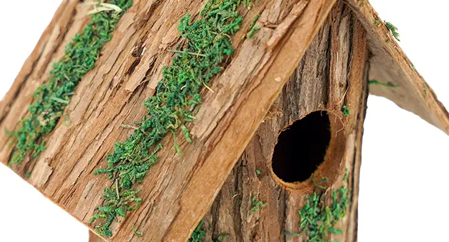 Decorative Wooden Bird House - Hanging Cedar for Outdoors 5 Predator-proof wooden bird house with a 1.5-inch entrance, designed for small birds like hummingbirds and bluebirds