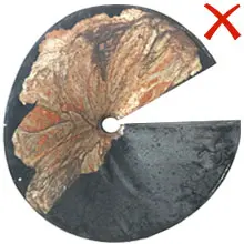 19" Wide Durable Hanging Bird Feeder Squirrel Baffle 3 Rusted metal squirrel baffle (X) compared to rust-proof PP baffle for hanging bird feeders