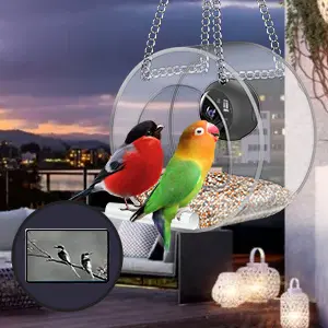 Smart Window Bird Feeder with Camera - 1080p HD | Night Vision 5 Window bird feeder with camera for remote bird watching. See birds from anywhere