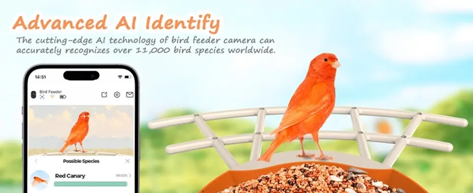 Auxco Bird Feeder with Camera - 4K, AI Bird ID, Auto Video 3 This smart bird feeder camera uses AI to recognize bird species, identifying even rare birds like the Red Canary