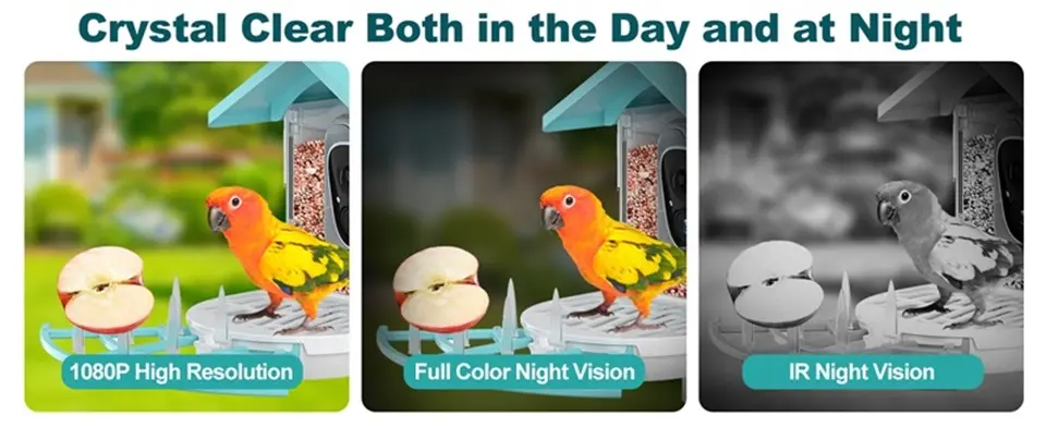 1080 HD Squirrel Proof Bird Feeder with Camera - AI, Solar Panel 2 Smart bird feeder camera showcasing HD daytime, color night vision, and IR night vision capabilities