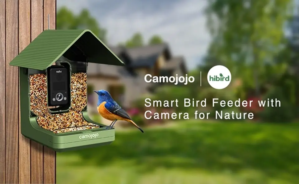 4K Smart Bird Feeder Camera AI Identify | 5G Live Watching 1 Smart bird feeder with integrated camera, designed for observing nature and attracting various bird species