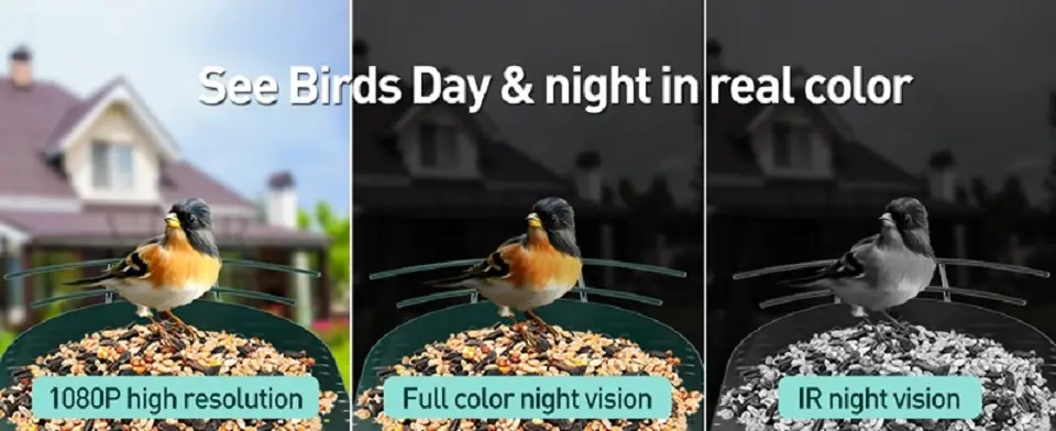 Solar Bird Feeder Camera - Metal with AI Bird ID & Live View 10 Two birds in front of a solar-powered bird feeder, capturing stunning 1080P images in full color, even at night