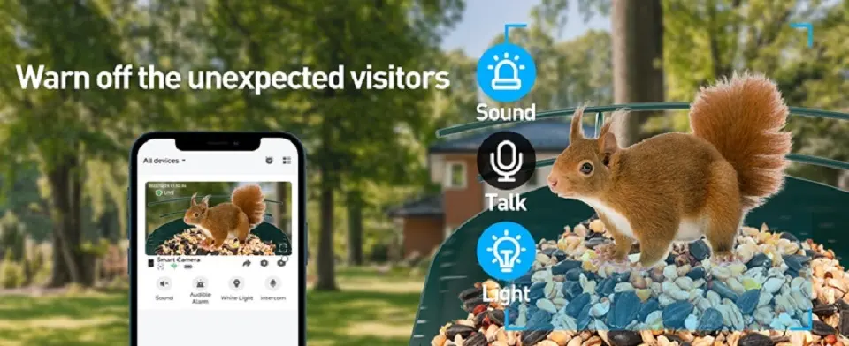 Solar Bird Feeder Camera - Metal with AI Bird ID & Live View 12 Solar bird feeder camera squirrel deterrent