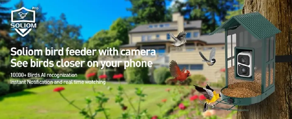 Solar Bird Feeder Camera - Metal with AI Bird ID & Live View 1 Solar bird feeder with camera, featuring AI recognition for 10,000+ birds, offering real-time viewing and instant notifications