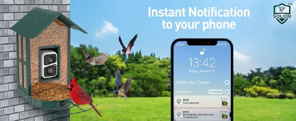 Solar Bird Feeder Camera - Metal with AI Bird ID & Live View 3 Smart bird feeder featuring a solar camera, delivering instant notifications to your phone when birds visit