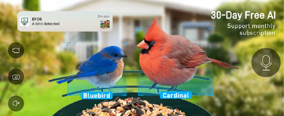 Solar Bird Feeder Camera - Metal with AI Bird ID & Live View 2 A solar-powered bird feeder showcasing a vibrant red bird on top and a blue bird below, inviting wildlife to feed