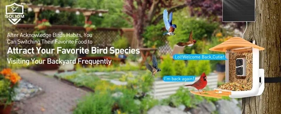 Wireless Bird Feeder Camera with AI Identify Bird Species 3 Soliom wireless bird feeder camera to attract birds to your backyard