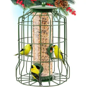 Squirrel-proof caged tube bird feeder designed for small birds. Perfect for outdoor hanging and bird watching