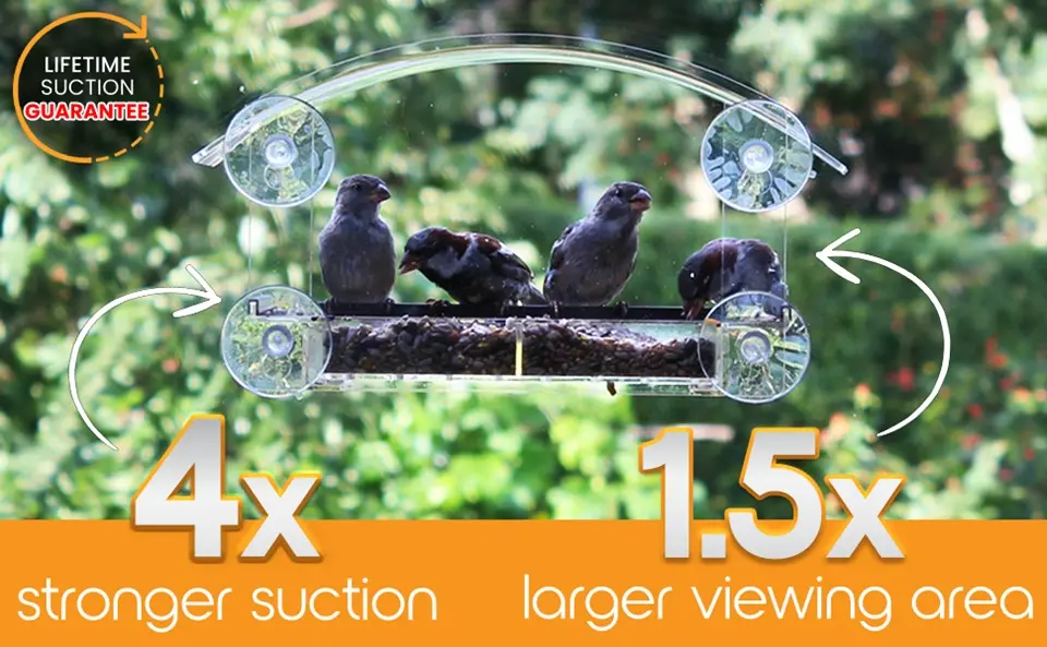 Window Bird Feeder for Cats - Clear Acrylic | Strong Suction 2 Window bird feeder with 4x stronger suction, 1.5x larger viewing. Great for indoor bird watching, even with cats