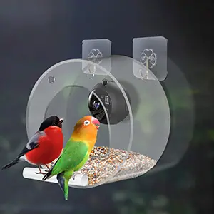 Smart Window Bird Feeder with Camera - 1080p HD | Night Vision 4 Two birds on a suction cup window bird feeder with camera