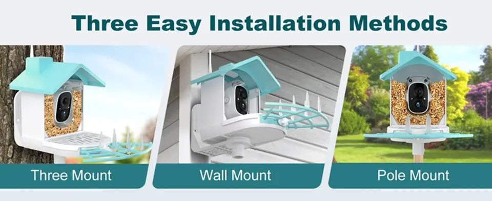 1080 HD Squirrel Proof Bird Feeder with Camera - AI, Solar Panel 5 Versatile bird feeder camera showing tree, wall, and pole mounting options for flexible installation