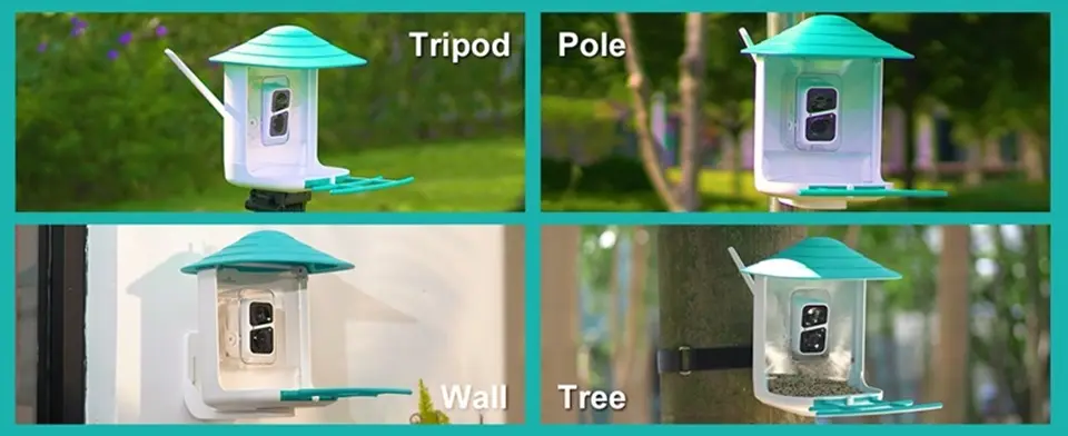 WiFi Bird Feeder Camera 2K Solar Powered with AI Identify 12 Four distinct angles of a bird feeder: tripod, wall, pole, and tree-mounted, highlighting various installation options