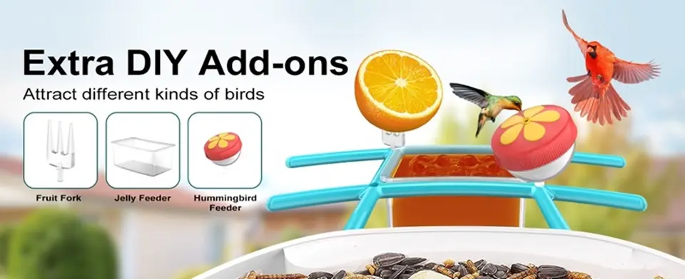WiFi Bird Feeder Camera 2K Solar Powered with AI Identify 6 A bird feeder with two birds sitting atop, equipped with additional features to entice various species of birds