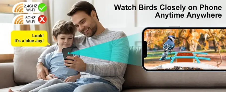 WiFi Bird Feeder Camera 2K Solar Powered with AI Identify 3 Close-up of a smartphone displaying live bird footage from a Wi-Fi feeder camera, allowing birdwatching anytime, anywhere