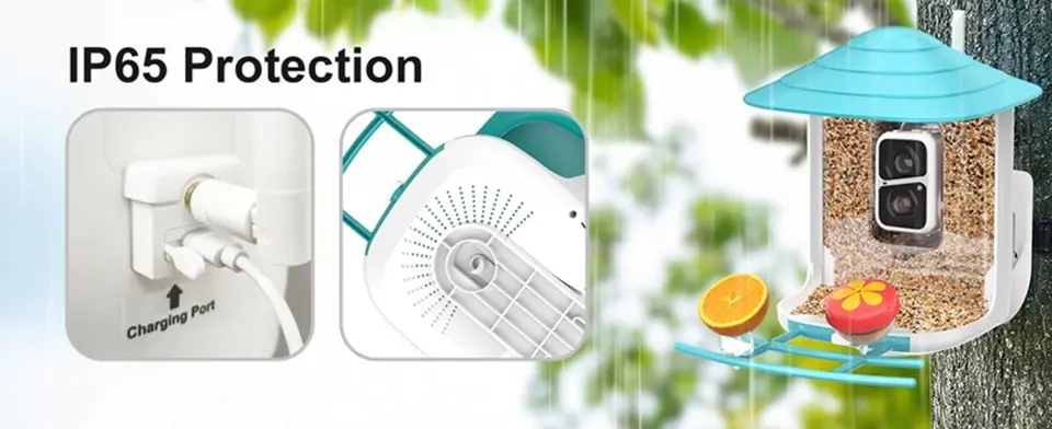 WiFi Bird Feeder Camera 2K Solar Powered with AI Identify 11 A bird feeder with IP65 protection, featuring a WiFi camera for monitoring birds in any weather condition