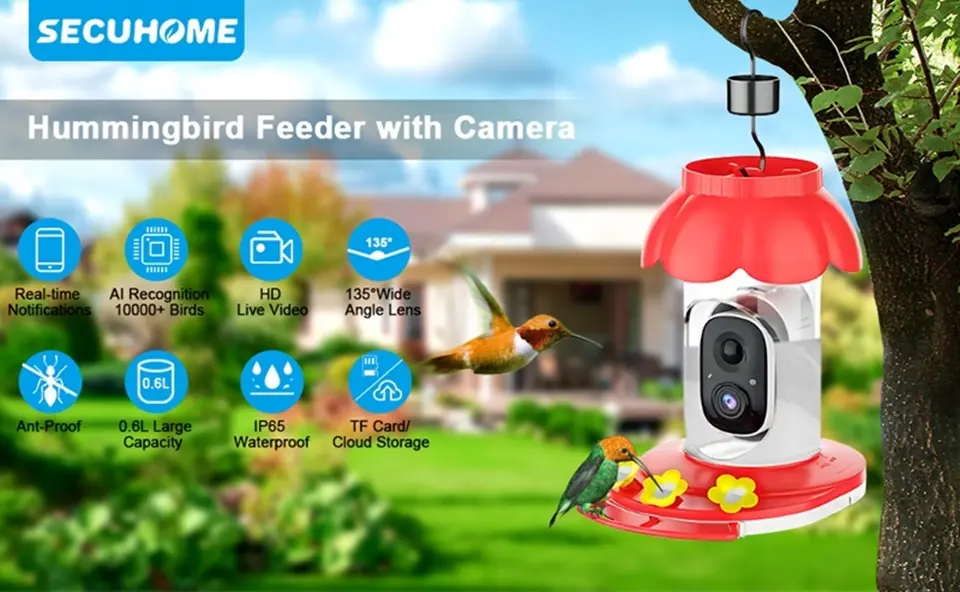 Humming Bird Feeder with Camera - AI Auto Capture & Wireless 1 Smart hummingbird feeder camera with AI bird ID, HD live view, large capacity, and waterproof design
