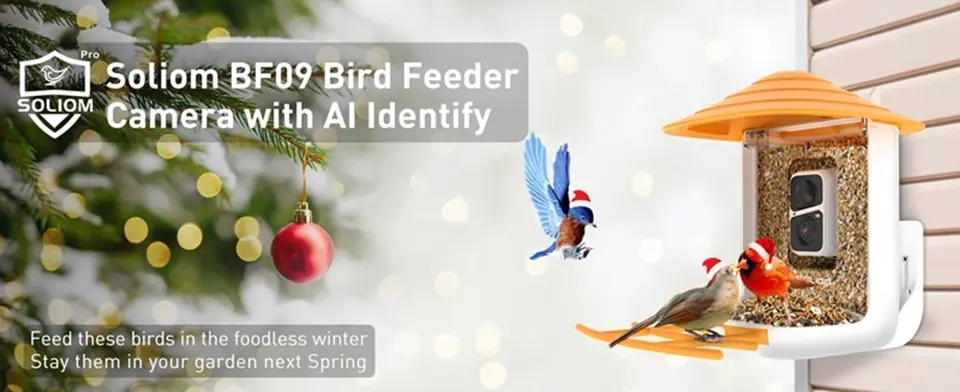 Wireless Bird Feeder Camera with AI Identify Bird Species 1 wireless bird feeder camera with AI bird identification in winter