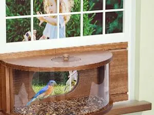 180° Clear View Wooden Window Bird Feeder - Fits 23-36" Windows 7 Wooden window bird feeder for kids to enjoy close-up bird watching and learn about nature