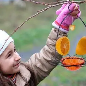 Oriole Nectar & Jelly Bird Feeder - 3oz Capacity, Orange, Easy Clean 5 Vivid orange oriole bird feeder with open top hook, designed to attract birds and enhance garden aesthetics
