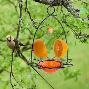 Oriole Nectar & Jelly Bird Feeder - 3oz Capacity, Orange, Easy Clean 4 Orange oriole bird feeder with detached bowl for easy hand-cleaning, perfect for attracting orioles