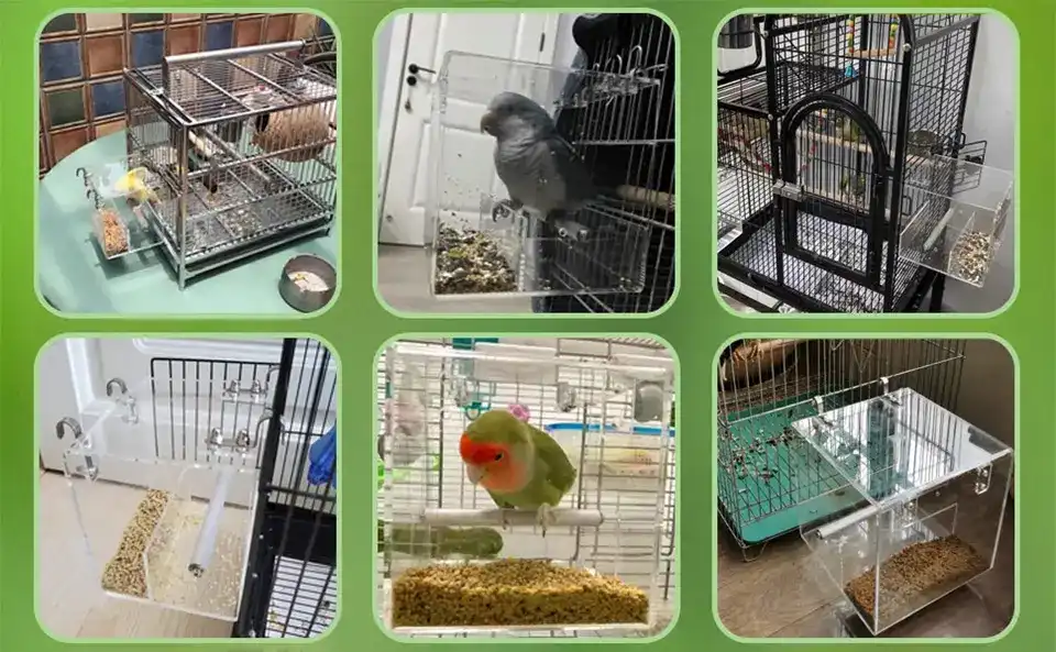 No Mess Acrylic Small Bird Feeder Cage - Auto Seed Dispenser 3 clear acrylic small bird feeder cage suitable for various small to medium birds like canaries, budgies, and parrots