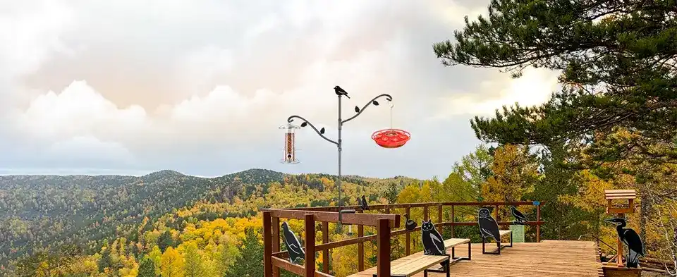 42" Heavy Duty Bird Feeder Pole for Deck | Adjustable & Detachable 9 A bird feeder on a deck rail with a beautiful view, perfect for backyard birding