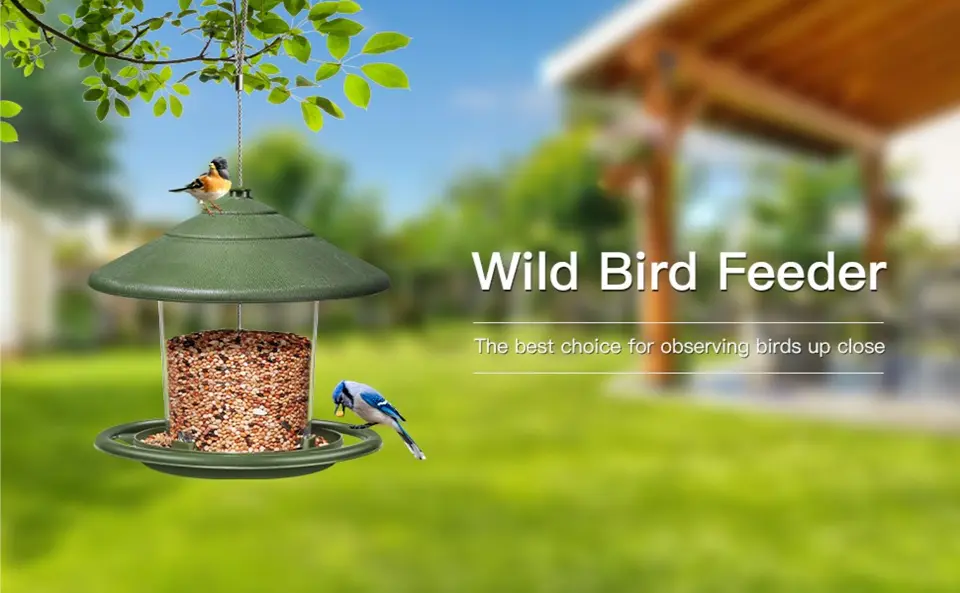 Weather Resistant Bird Feeder for Cardinals, Finch, Blue Jay, Sparrows 1 A blue jay perched on a green outdoor blue jay bird feeder, with another bird nearby